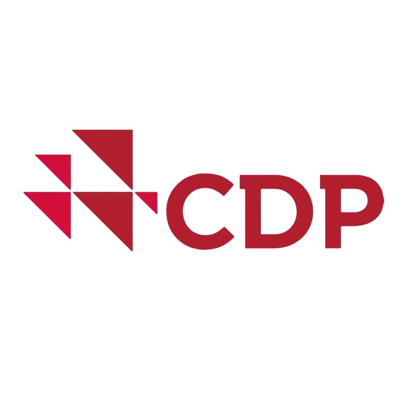 CDP碳信息披露是什么_披露内容与评分标准