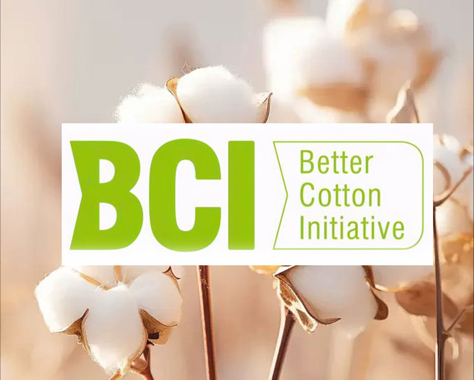 1740212441847102.jpg bcibci2.jpg