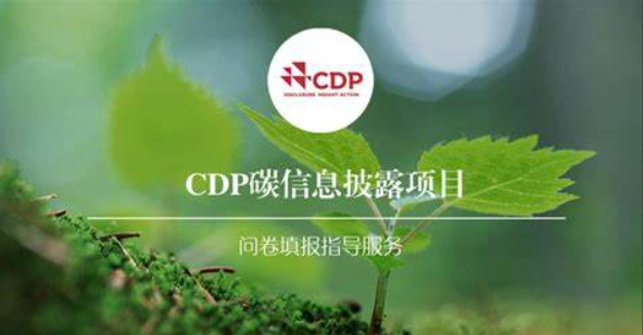 CDP评分机制与提升策略_2025年问卷填报要点