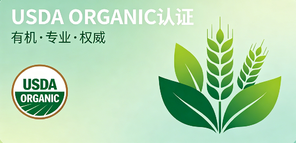 中国企业出海北美，这张 “绿色通行证” 必看