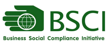 BSCI验厂详解 - 欧洲订单必备，外贸企业合规指南